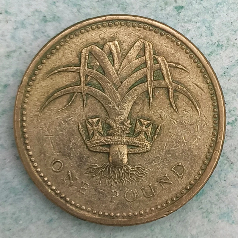 Rückseite : Vereinigtes Königreich 1 Pound 1985 - Der walisische Leek